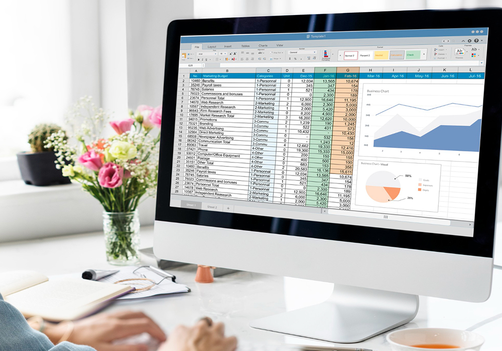 ems ePCR Software